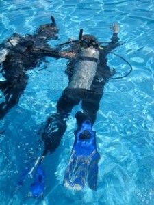 PADI_Discover_Scuba Diving courses for begginers