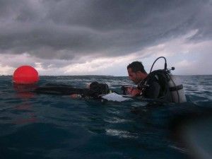PADI_Divemaster_Course_Calendars