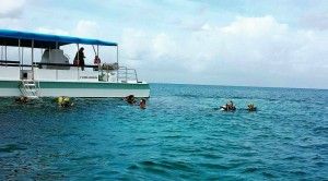 Tauchlehrerkurs dressel divers