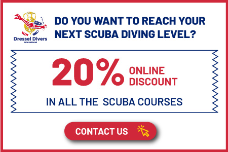 scuba diving certification levels promo