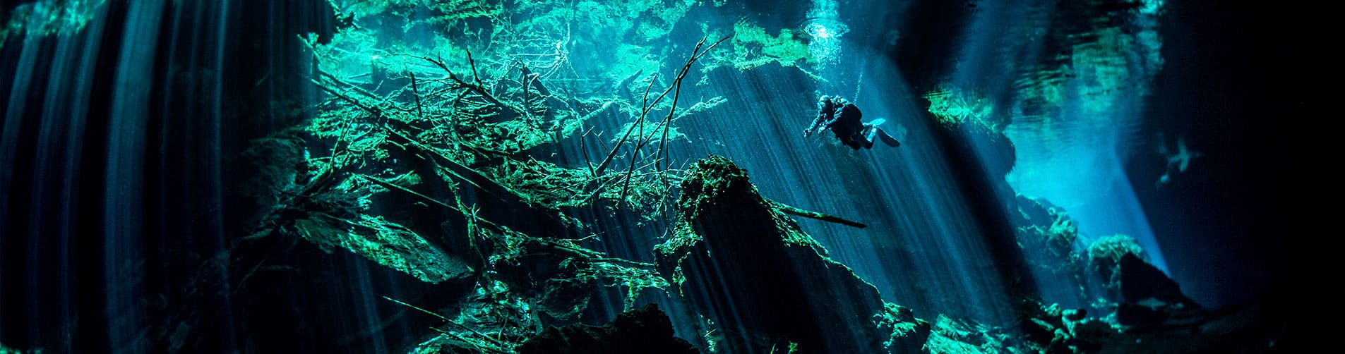 Scuba diving in PUERTO AVENTURAS with Dressel Divers