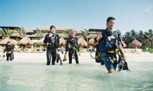 Padi divemaster entry requirements