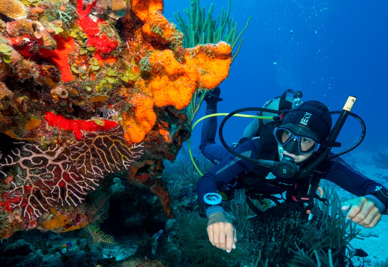 Parque Nacional Arrecifes de Cozumel - buzo