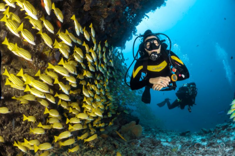 Peak Performance Buoyancy (2) Curso de flotabilidad de máximo rendimiento