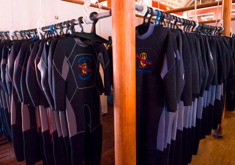 7 Truths and Lies About Peeing in Wetsuit