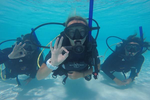 Pictures of People Diving In a Pool - 1