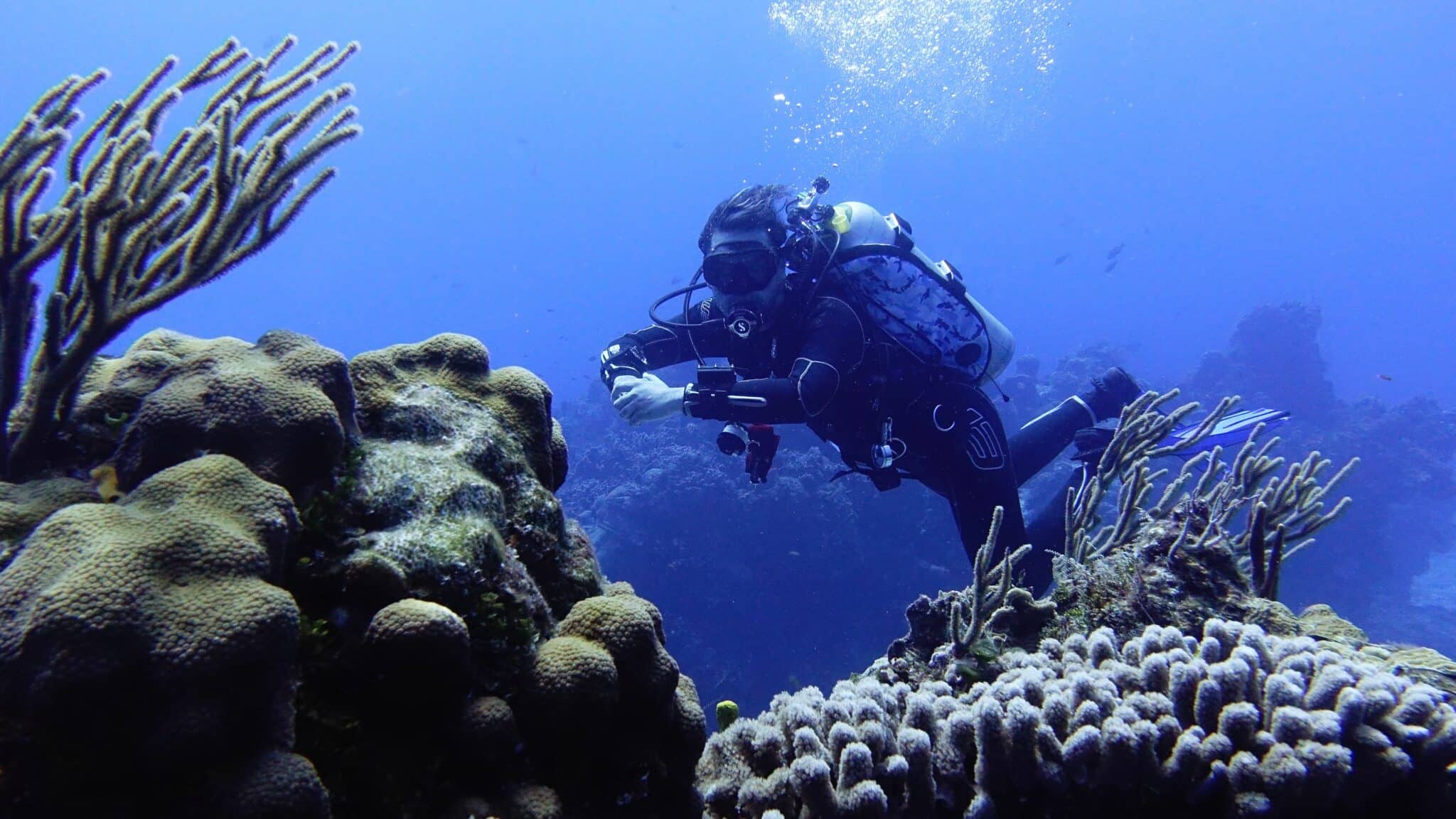 Bucear en PLAYA DEL CARMEN con Dressel Divers