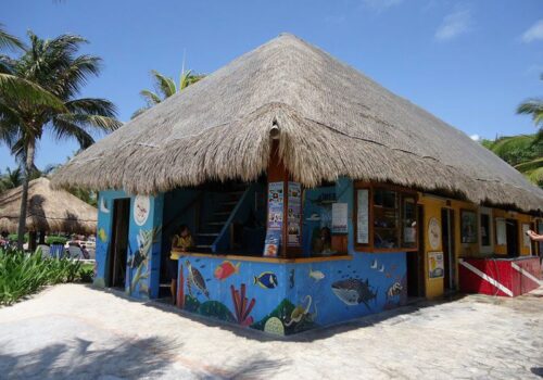 snorkel en playa del carmen