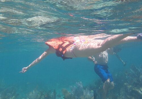 playa del carmen snorkel