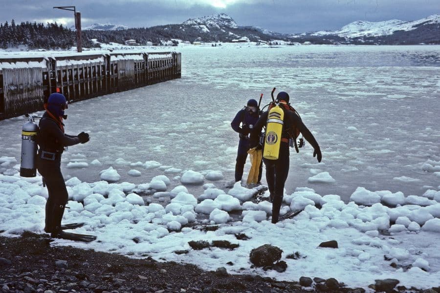 Polar diving-buceo polar-5