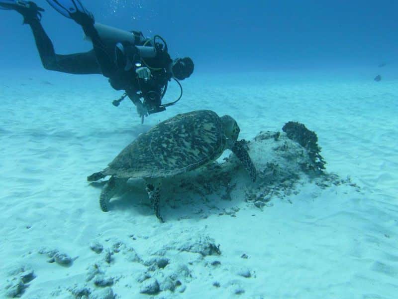 Plongée a PUERTO AVENTURAS avec Dressel Divers