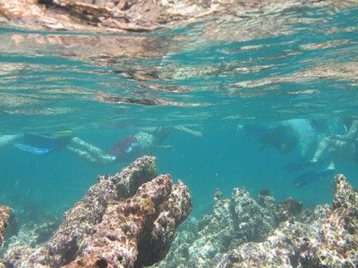 puerto aventuras snorkel