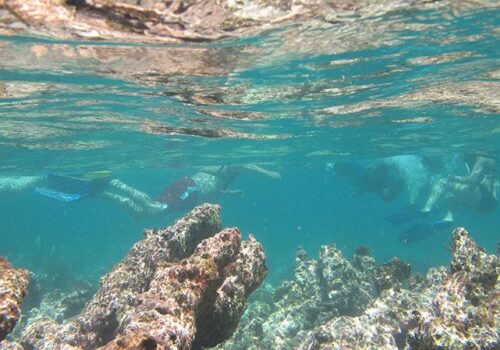 snorkeling puerto aventuras