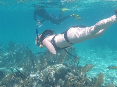 puerto aventuras fare snorkeling