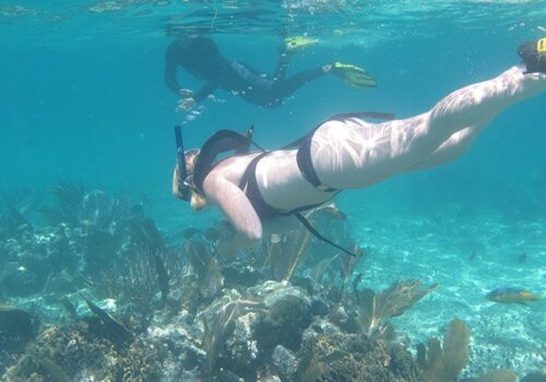 tiendas de snorkel puerto aventuras