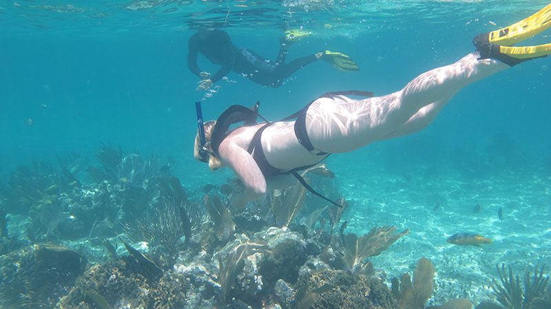 Snorkeling em PUERTO AVENTURAS com o Dressel Divers