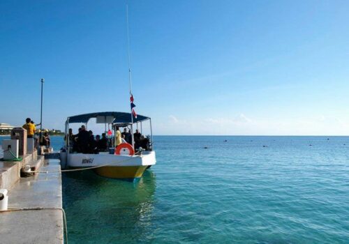 snorkel trips puerto aventuras