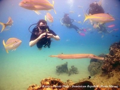 puerto plata dive centers