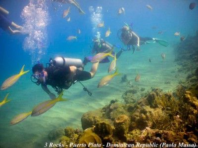 dive centers puerto plata