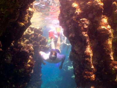 Puerto plata Schnorchelplätze