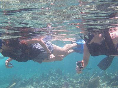 puerto vallarta fare snorkel