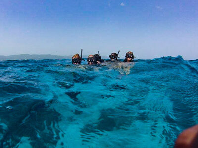 snorkel Puerto vallarta