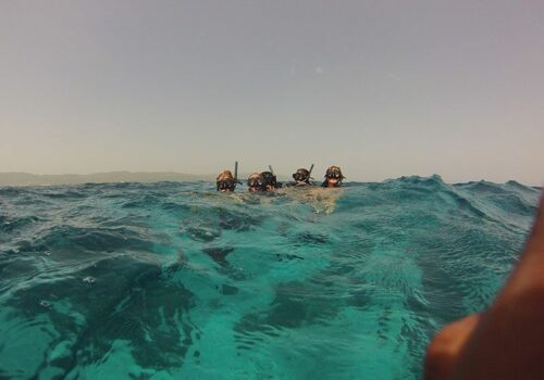 centros de snorkel puerto vallarta