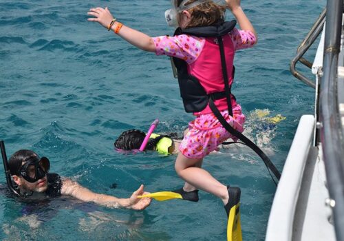 snorkeling puerto vallarta