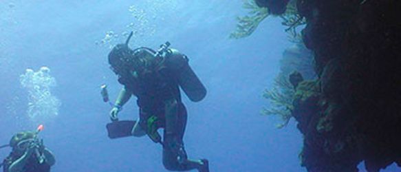 Puerto_Plata_Scuba_Divingrec