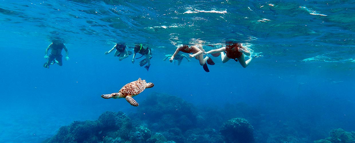 Puerto Plata Snorkeling