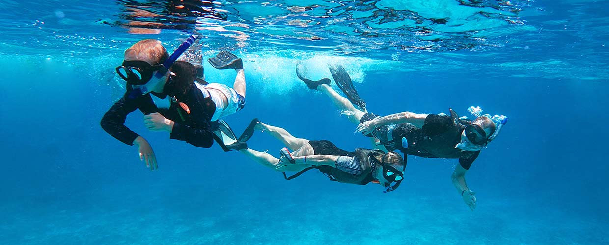 Practicar Snorkel en PUERTO VALLARTA con Dressel Divers