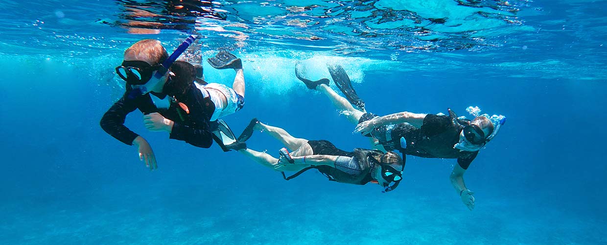 snorkeling in Puerto Vallarta