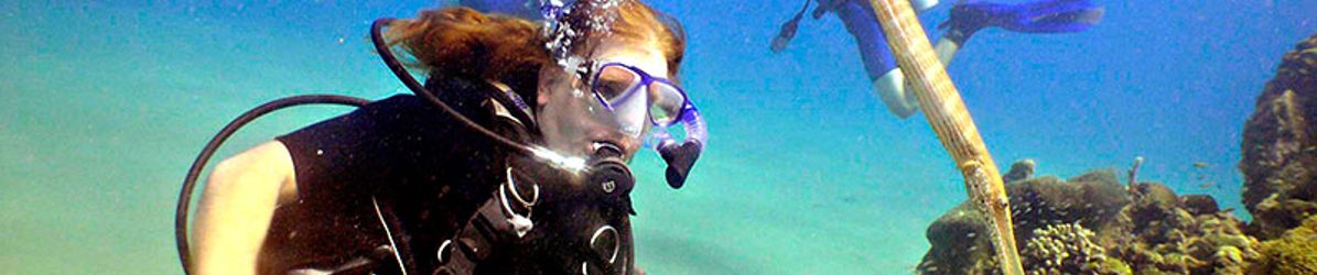 Punta-Cana-Scuba-Diving-Dressel-Divers-rec
