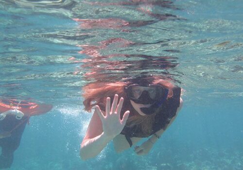 snorkel punta cana