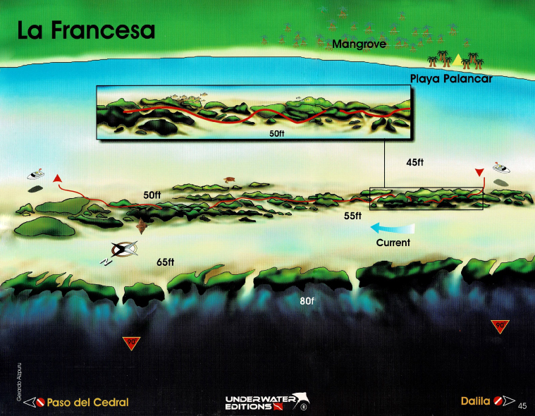 Punta Francesa Reef - mapa - arrecife punta francesa