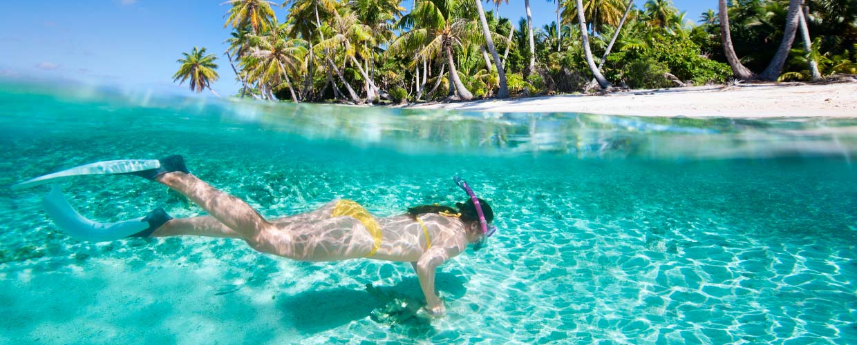 Schnorcheln in PUNTA CANA, Bavaro mit Dressel Divers