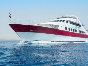 Red Sea Liveaboard Scuba Diving - Emperor Elite 2