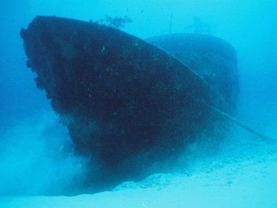 riviera maya buceo