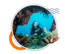 Riviera Maya Diving Excursions