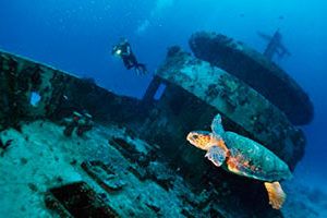 caraibi escursioni messico