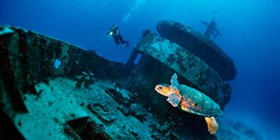 caraibi escursioni messico