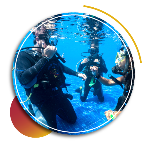 scuba diver - scuba diving classes