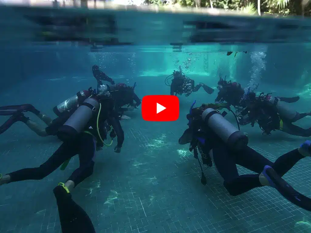 scuba diving career - video