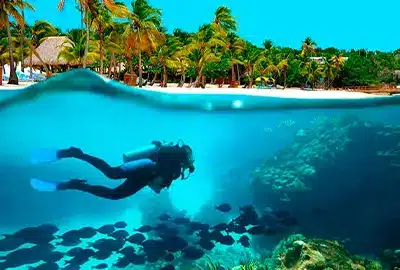dive resorts in the dominican republic - excursions - resorts de buceo en la república dominicana dive resorts in the dominican republic - excursions - resorts de buceo en la república dominicana