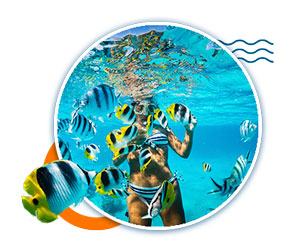 SCUBA-DIVING-OFFERS-SCUBA-DIVING-SALES--SCUBA-DIVING-DISCOUNTS-SCUBA-DIVING-PROMOTION--snorkeling