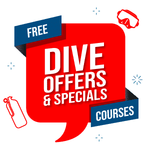 SCUBA DIVING dive offers specials