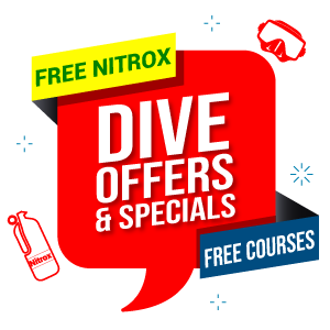 Dive offers and specials