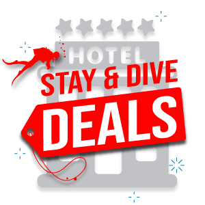 Stay and dive Deals