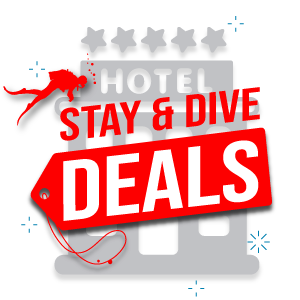 Stay an dive deals 