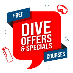 Dive offers and specials